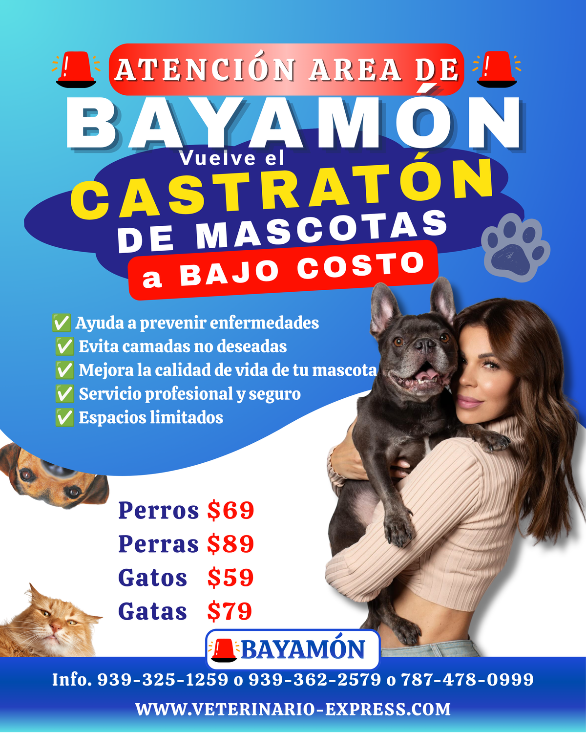 Castración a bajo costo en Bayamón