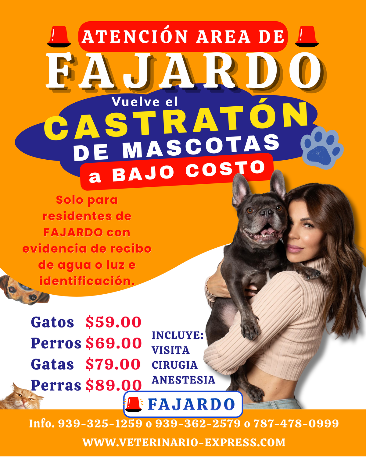 Castratón FAJARDO a Bajo Costo
