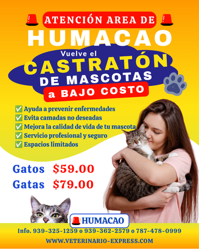 Castratón Humacao a Bajo Costo