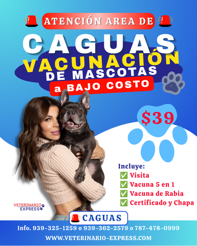 CAGUAS PAQUETE DE VACUNAS